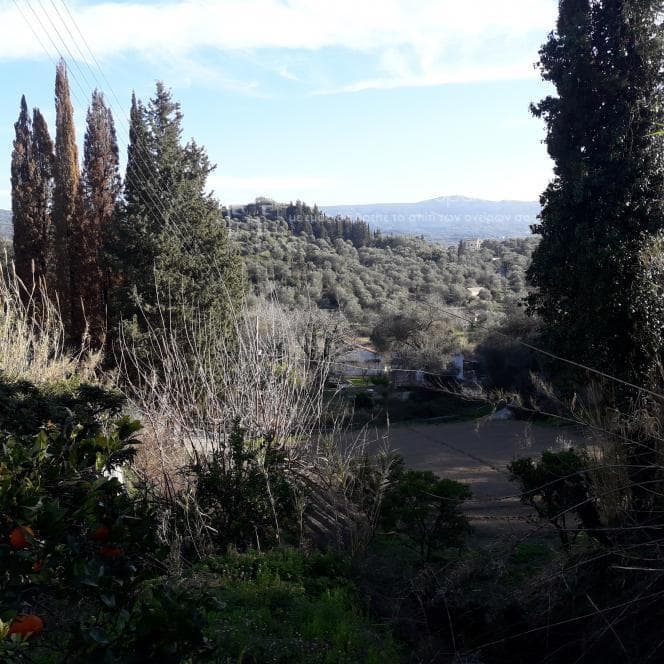 Μονοκατοικία στην Άγιος Γεώργιος, Κέρκυρα — Φωτογραφία 13 από 16
