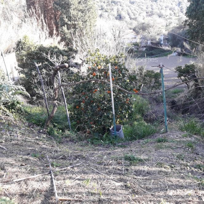 Μονοκατοικία στην Άγιος Γεώργιος, Κέρκυρα — Φωτογραφία 16 από 16