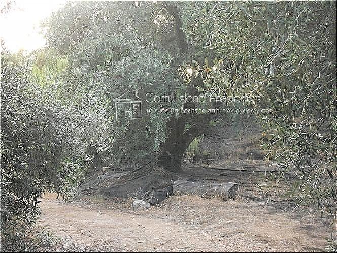 Οικόπεδο στην Κασσιόπη, Κέρκυρα — Φωτογραφία 6 από 9