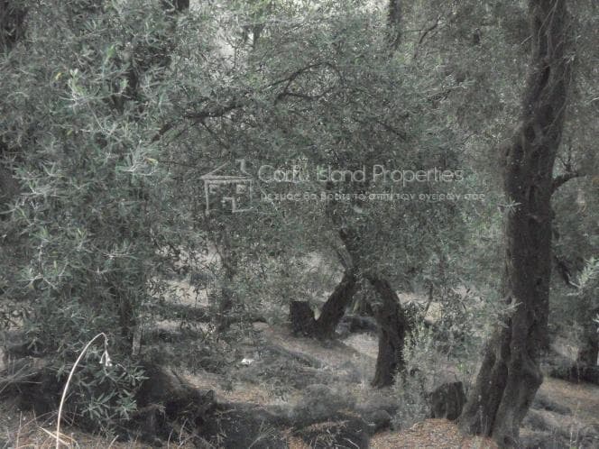 Οικόπεδο στην Κασσιόπη, Κέρκυρα — Φωτογραφία 4 από 9