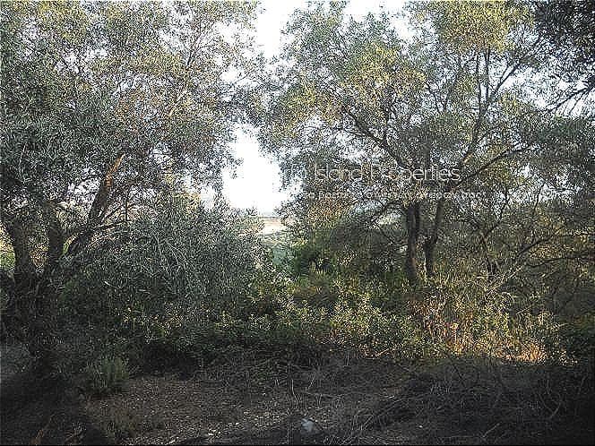 Οικόπεδο στην Κασσιόπη, Κέρκυρα — Φωτογραφία 2 από 9