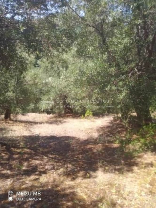 Building Plot in Kassiopi, Corfu — Photo 13 of 15