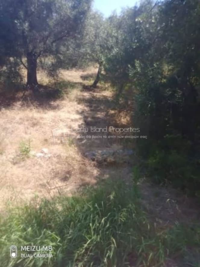 Building Plot in Kassiopi, Corfu — Photo 9 of 15