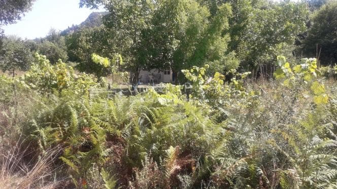 Parcel in Pareli, Corfu — Photo 9 of 11