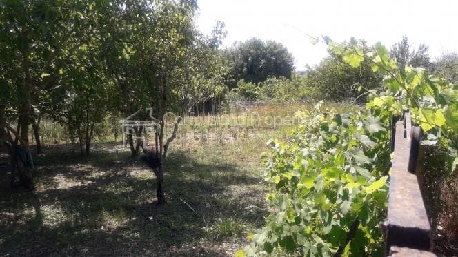 Parcel in Pareli, Corfu — Photo 10 of 11