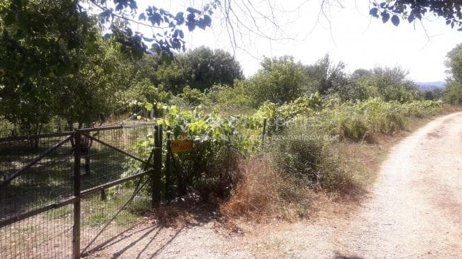 Parcel in Pareli, Corfu — Photo 8 of 11
