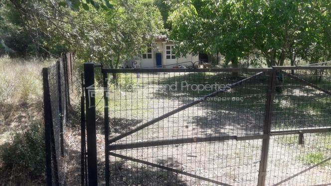 Parcel in Pareli, Corfu — Photo 4 of 11