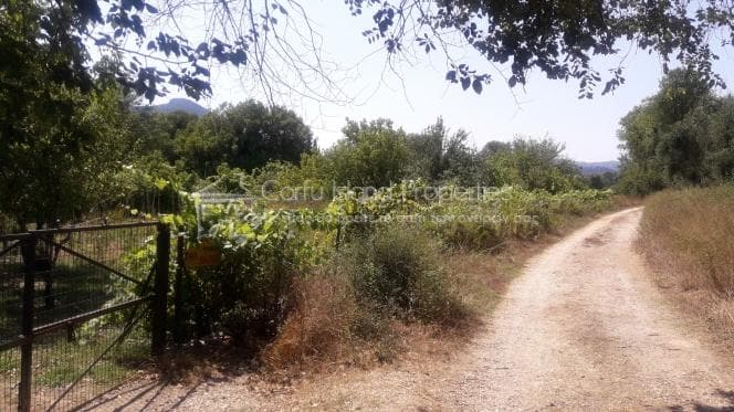 Parcel in Pareli, Corfu — Photo 3 of 11