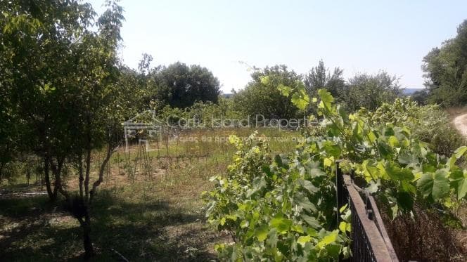 Parcel in Pareli, Corfu — Photo 7 of 11