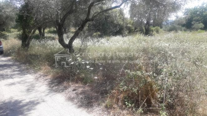 Building Plot in Achilleio, Corfu — Photo 1 of 6