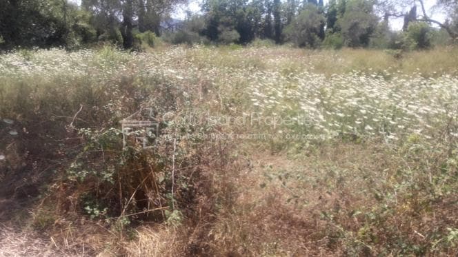 Building Plot in Achilleio, Corfu — Photo 5 of 6