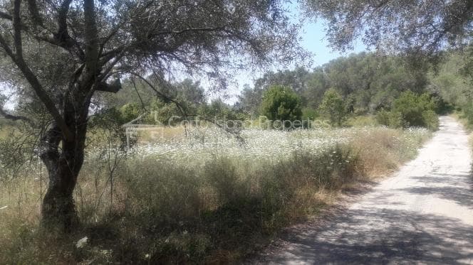 Building Plot in Achilleio, Corfu — Photo 4 of 6