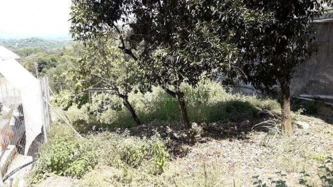 Μονοκατοικία στην Αχίλλειο, Κέρκυρα — Φωτογραφία 9 από 12