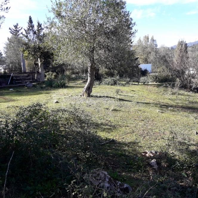 Building Plot in Othonoi, Corfu — Photo 4 of 19