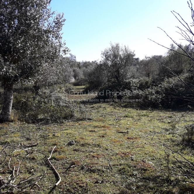 Building Plot in Othonoi, Corfu — Photo 10 of 19