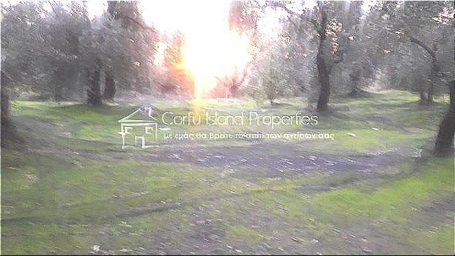 Building Plot in Faiakes, Corfu — Photo 9 of 17