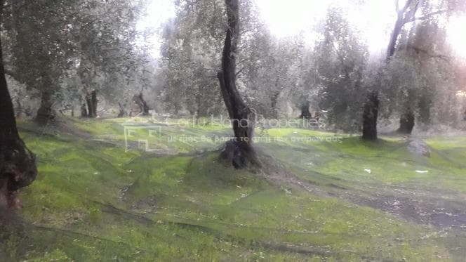 Building Plot in Faiakes, Corfu — Photo 13 of 17