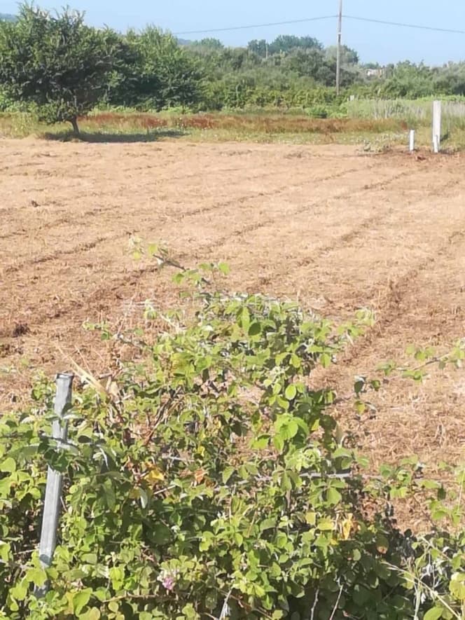 Building Plot in Kassiopi, Corfu — Photo 5 of 21