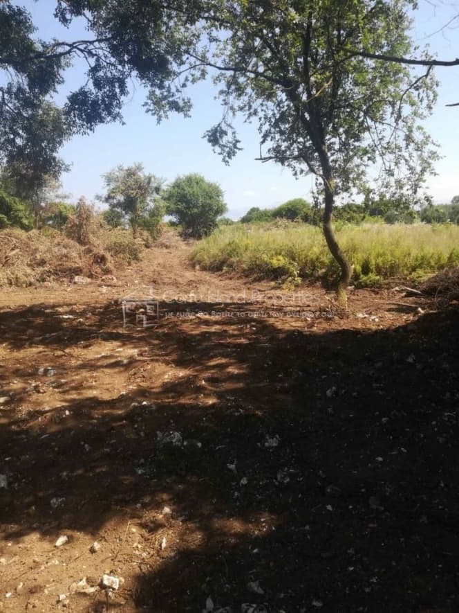 Building Plot in Kassiopi, Corfu — Photo 6 of 21