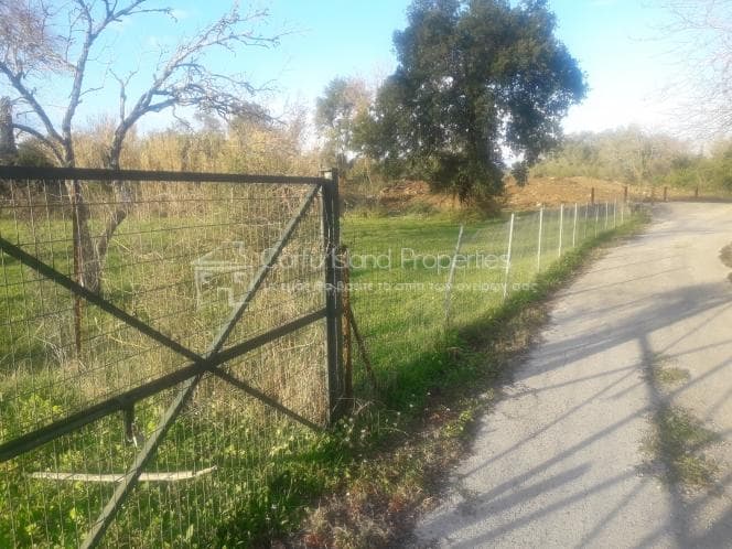 Parcel in Achilleio, Corfu — Photo 14 of 18