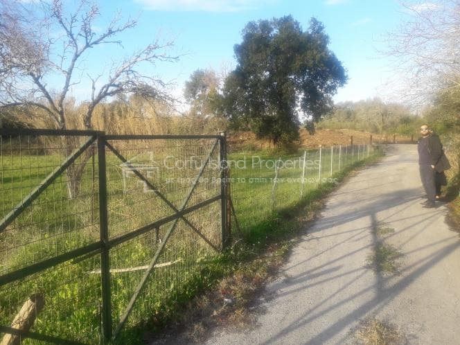 Parcel in Achilleio, Corfu — Photo 13 of 18