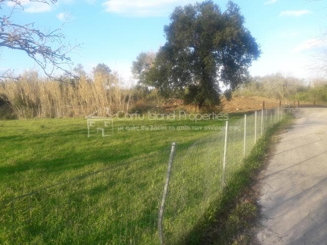 Parcel in Achilleio, Corfu — Photo 2 of 18