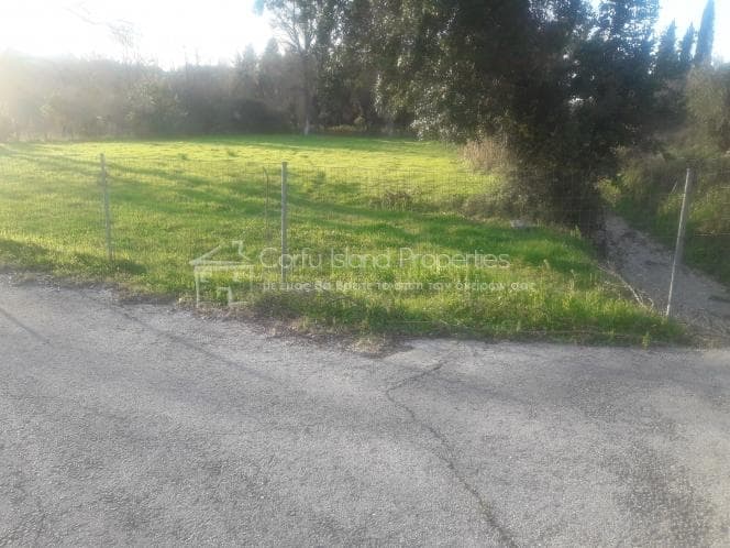 Parcel in Achilleio, Corfu — Photo 16 of 18