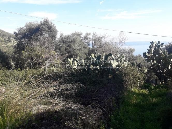 Building Plot in Faiakes, Corfu — Photo 21 of 30