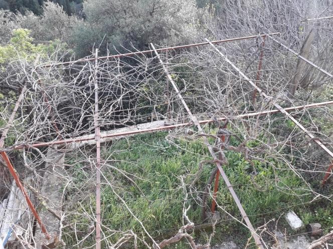Μονοκατοικία στην Κασσιόπη, Κέρκυρα — Φωτογραφία 17 από 19