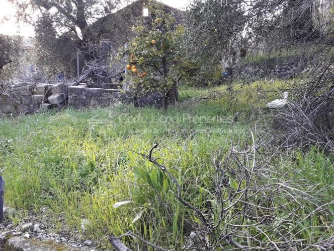 Μονοκατοικία στην Κασσιόπη, Κέρκυρα — Φωτογραφία 5 από 19