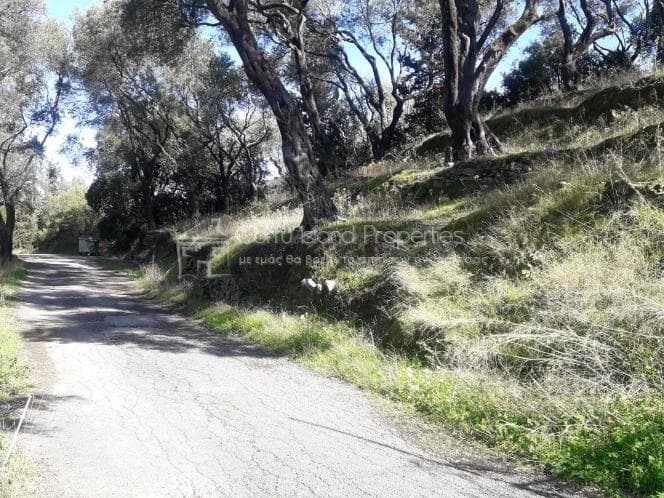 Building Plot in Kassiopi, Corfu — Photo 4 of 13
