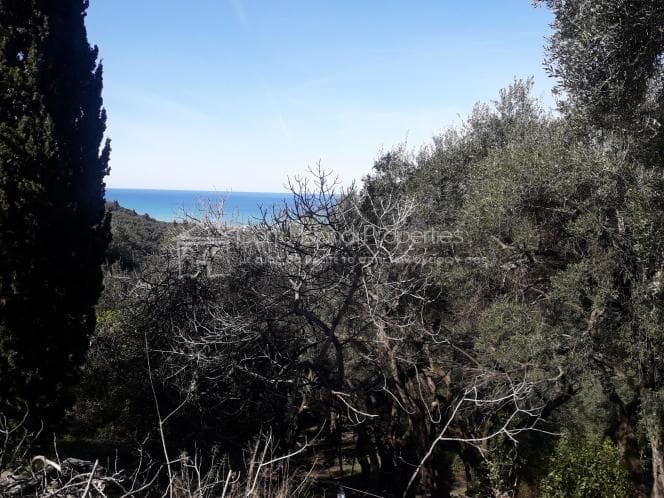 Building Plot in Kassiopi, Corfu — Photo 11 of 13