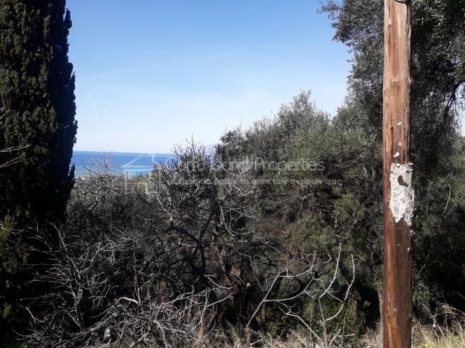 Building Plot in Kassiopi, Corfu — Photo 12 of 13