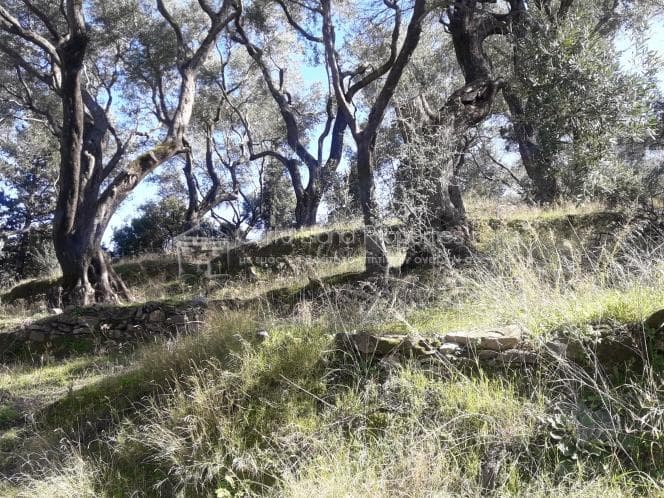 Building Plot in Kassiopi, Corfu — Photo 7 of 13