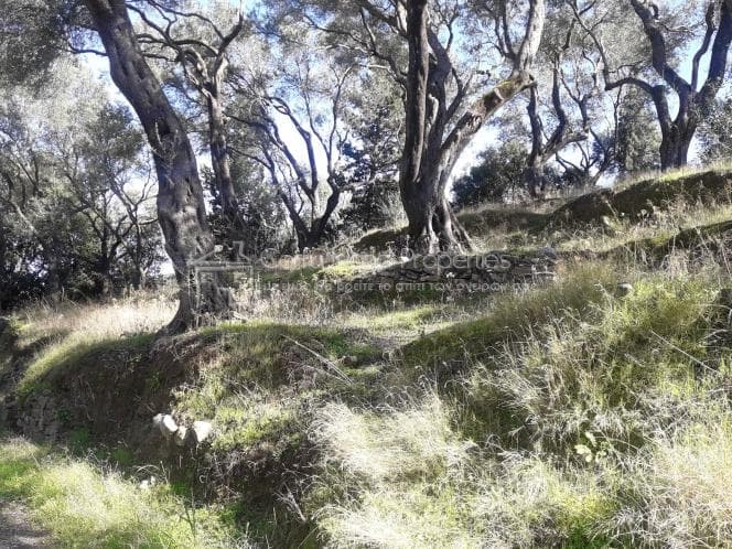 Building Plot in Kassiopi, Corfu — Photo 6 of 13