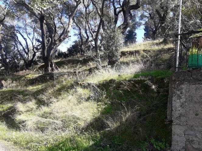 Building Plot in Kassiopi, Corfu — Photo 1 of 13