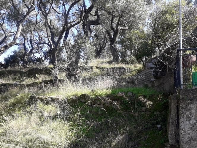 Building Plot in Kassiopi, Corfu — Photo 3 of 13