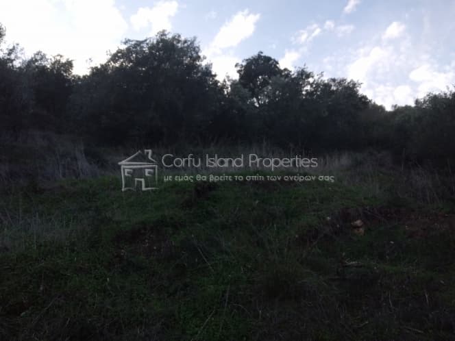 Building Plot in Pareli, Corfu — Photo 7 of 9