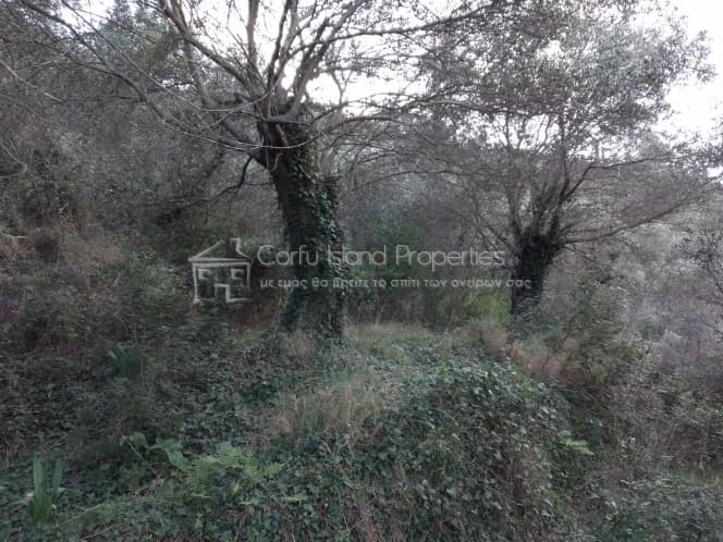 Building Plot in Pareli, Corfu — Photo 2 of 12