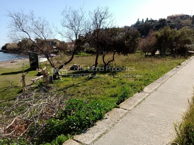 Building Plot in Achilleio, Corfu — Photo 21 of 30
