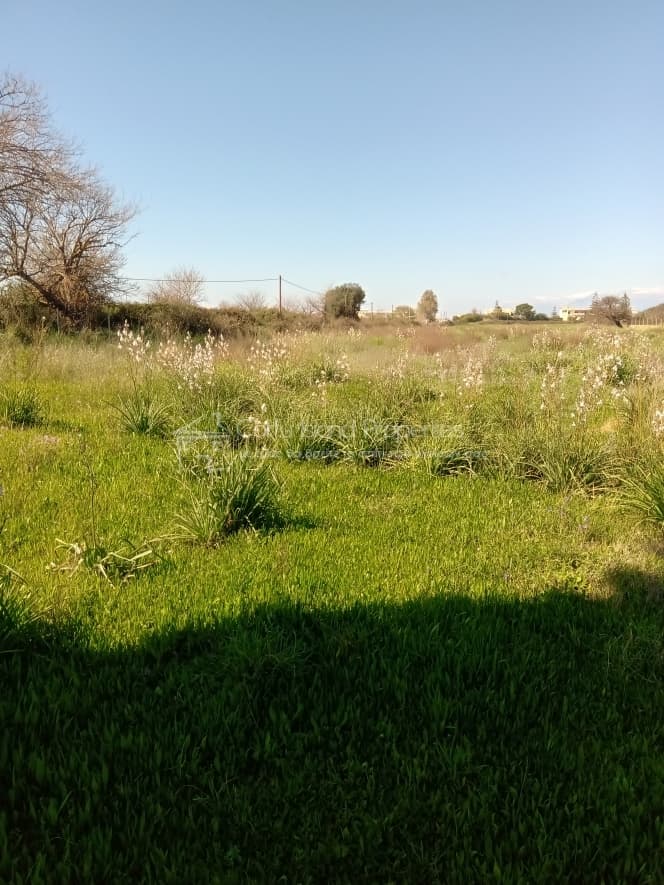 Building Plot in Kassiopi, Corfu — Photo 9 of 15
