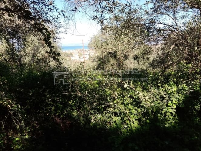Building Plot in Kassiopi, Corfu — Photo 6 of 23