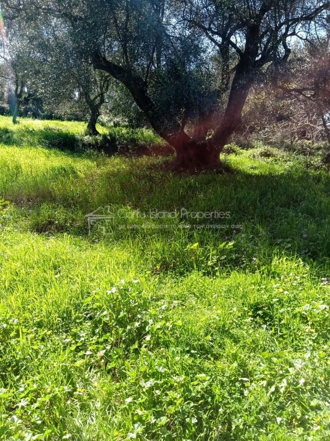 Building Plot in Kassiopi, Corfu — Photo 2 of 23