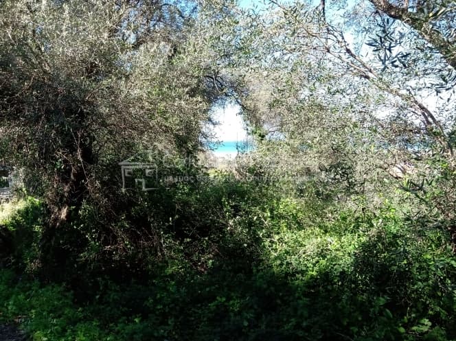 Building Plot in Kassiopi, Corfu — Photo 19 of 23
