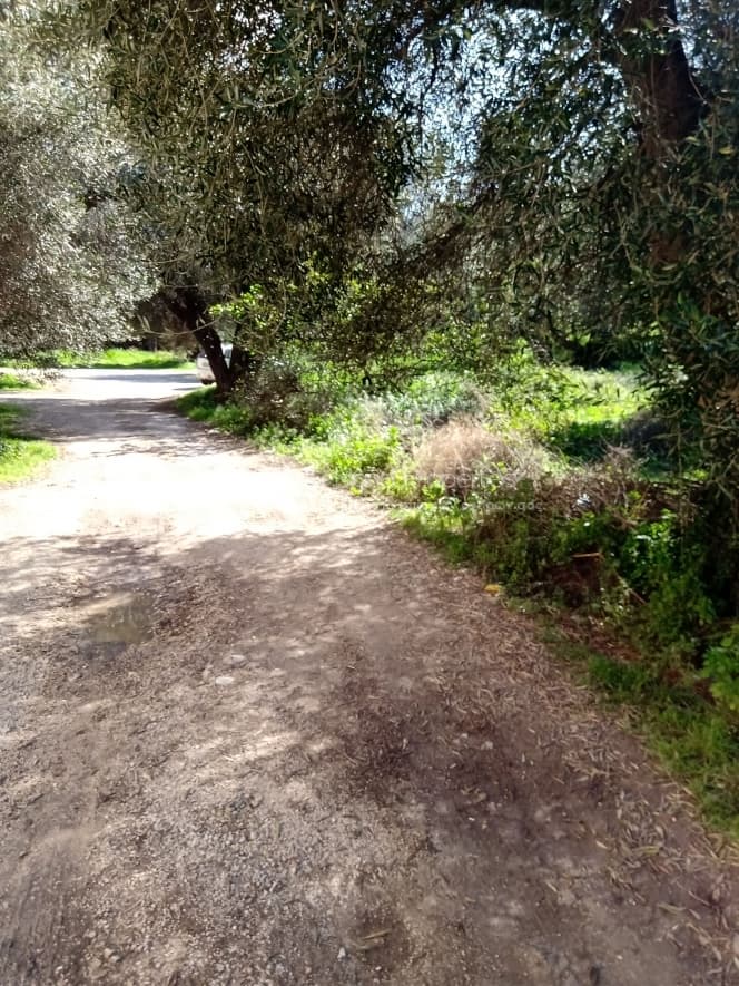 Building Plot in Kassiopi, Corfu — Photo 22 of 23