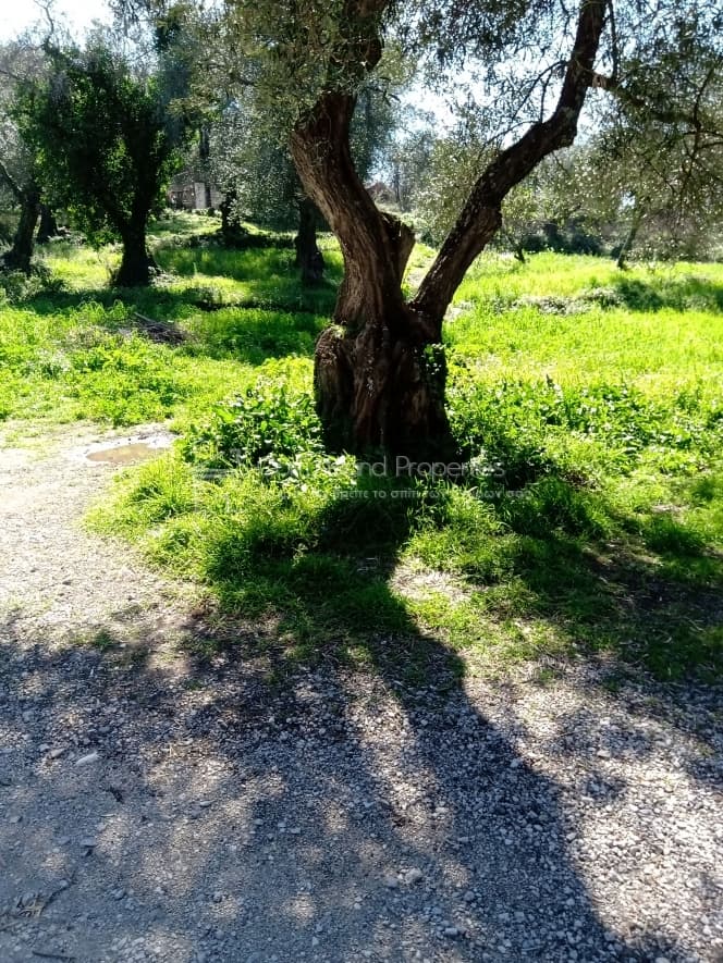 Building Plot in Kassiopi, Corfu — Photo 5 of 23