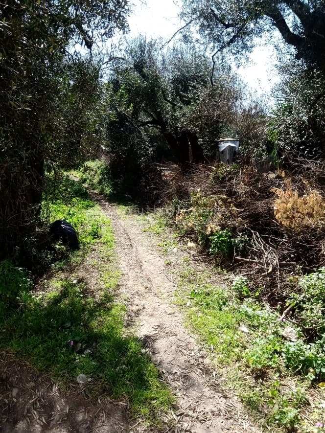 Building Plot in Kassiopi, Corfu — Photo 23 of 23