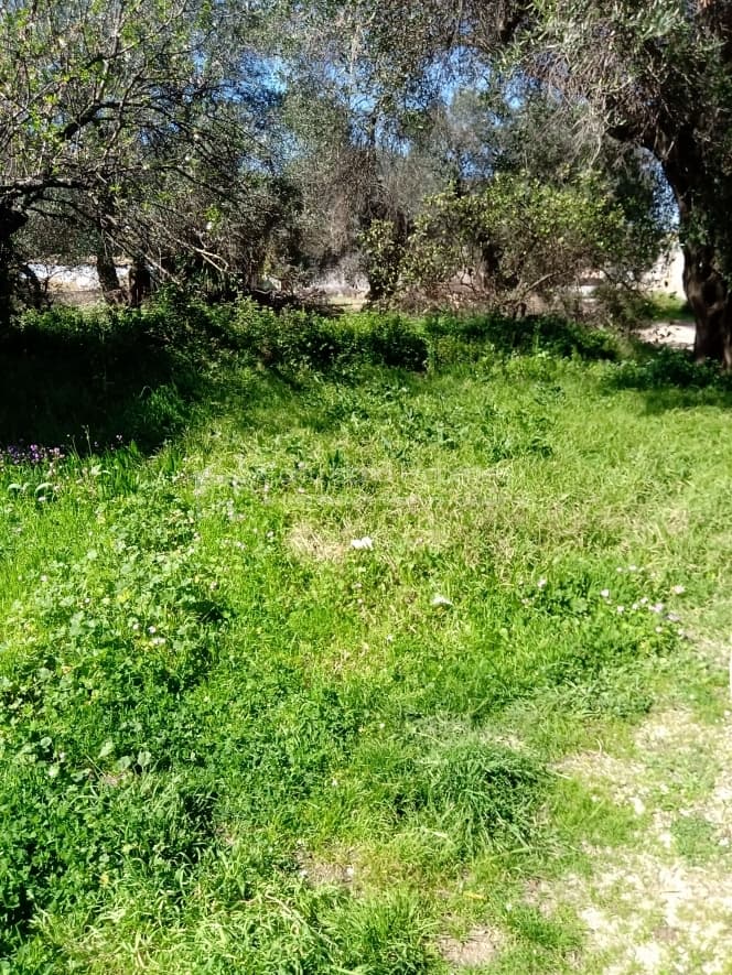Building Plot in Kassiopi, Corfu — Photo 1 of 23