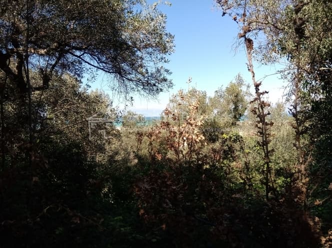 Building Plot in Kassiopi, Corfu — Photo 18 of 23