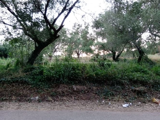 Building Plot in Pareli, Corfu — Photo 8 of 11